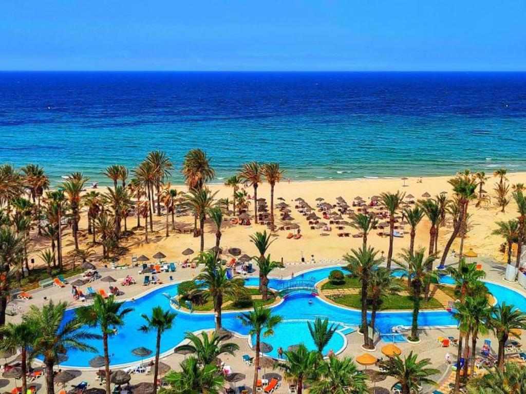 riadh palms 32146